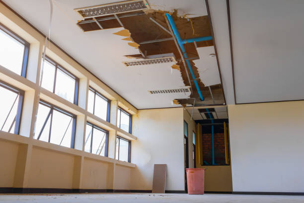 Best Mold removal after water damage  in Breezy Point, MN