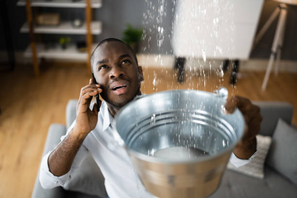 Best Water damage mitigation services  in Breezy Point, MN