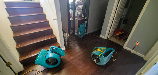 Best Sewage cleanup and water damage restoration  in Breezy Point, MN