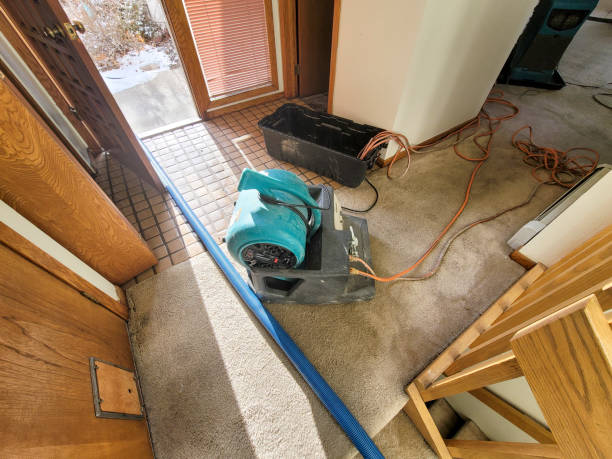 Best Water damage restoration company  in Breezy Point, MN