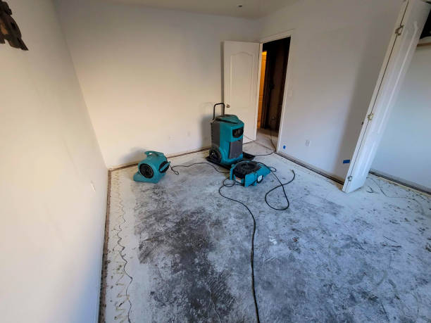 Best Water damage contractors near me  in Breezy Point, MN