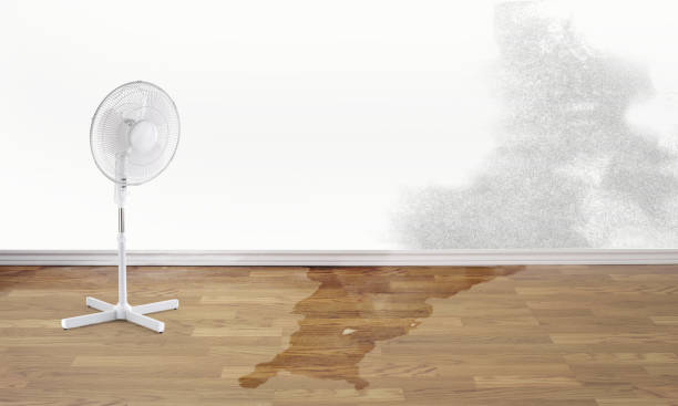 Best Flood restoration services  in Breezy Point, MN