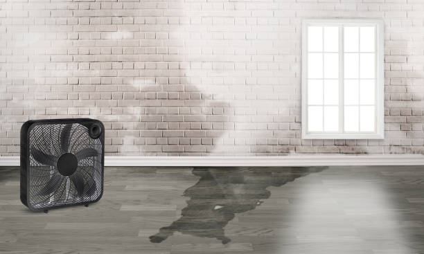 Best Emergency water damage restoration  in Breezy Point, MN
