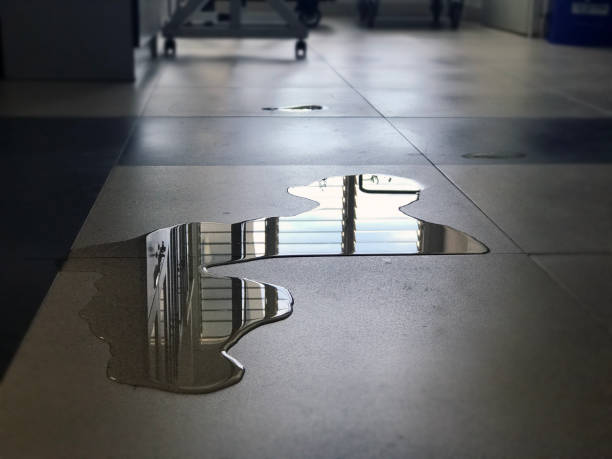 Best Water damage restoration company  in Breezy Point, MN