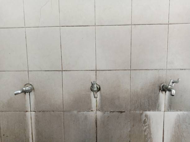 Water damage restoration mold remediation in Breezy Point, MN