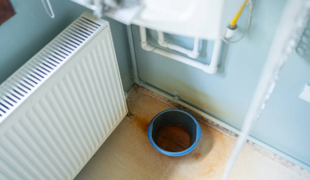 Best Water damage restoration experts  in Breezy Point, MN
