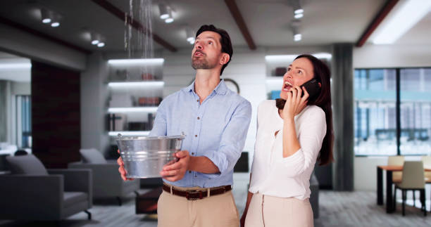 Best Professional water damage repair  in Breezy Point, MN