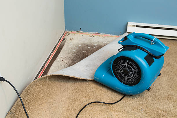 Best Residential water damage restoration  in Breezy Point, MN