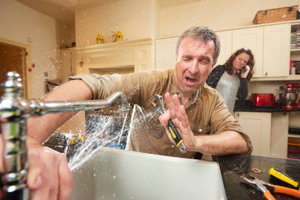 Best Water damage cleanup near me  in Breezy Point, MN